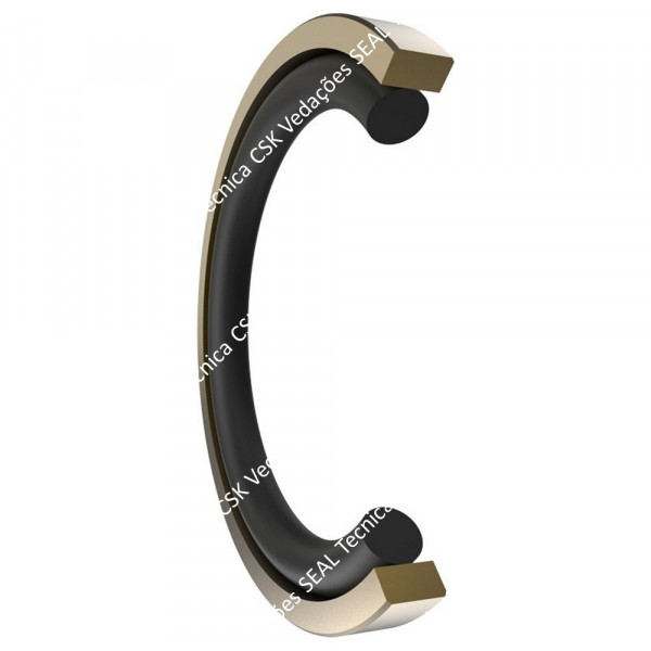 GAXETA DP PTFE+B  104 X 125 X 8